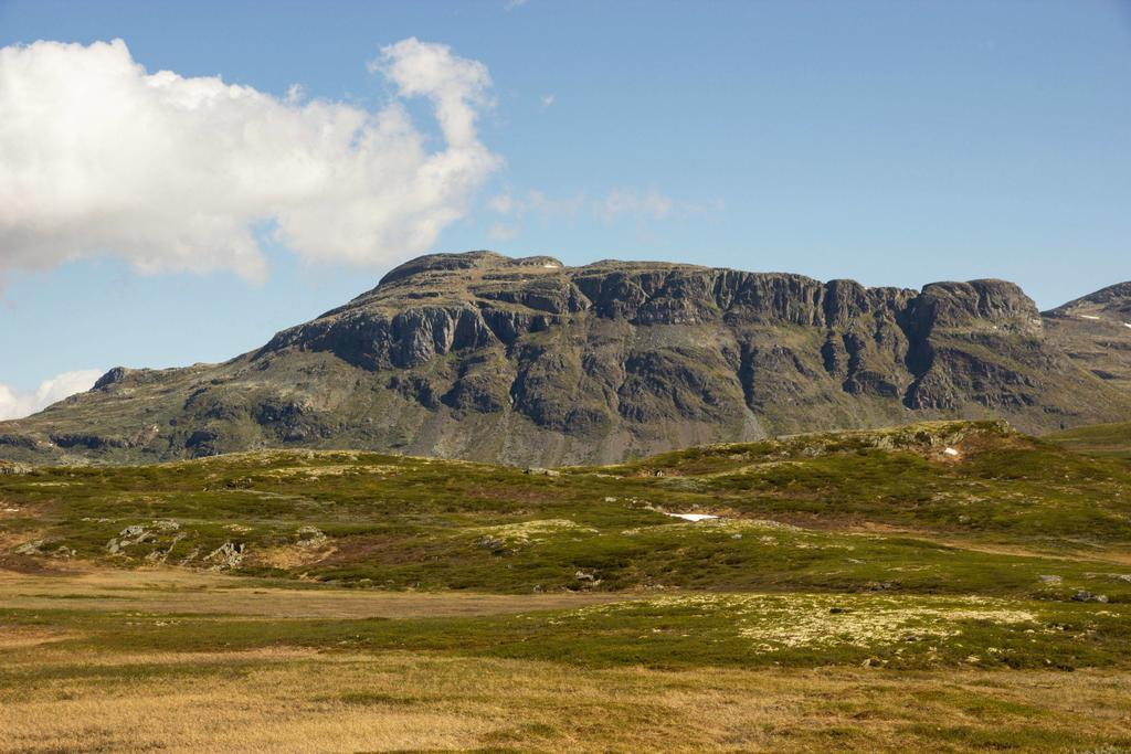 Liatoppen Fjellhotell Ål Esterno foto