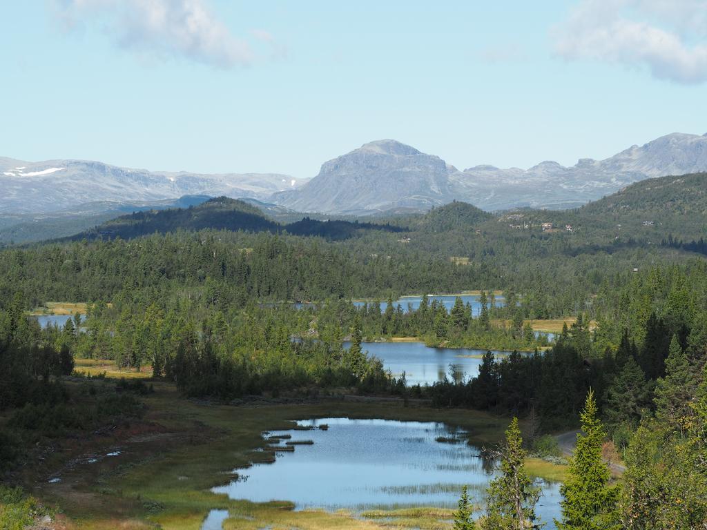 Liatoppen Fjellhotell Ål Esterno foto