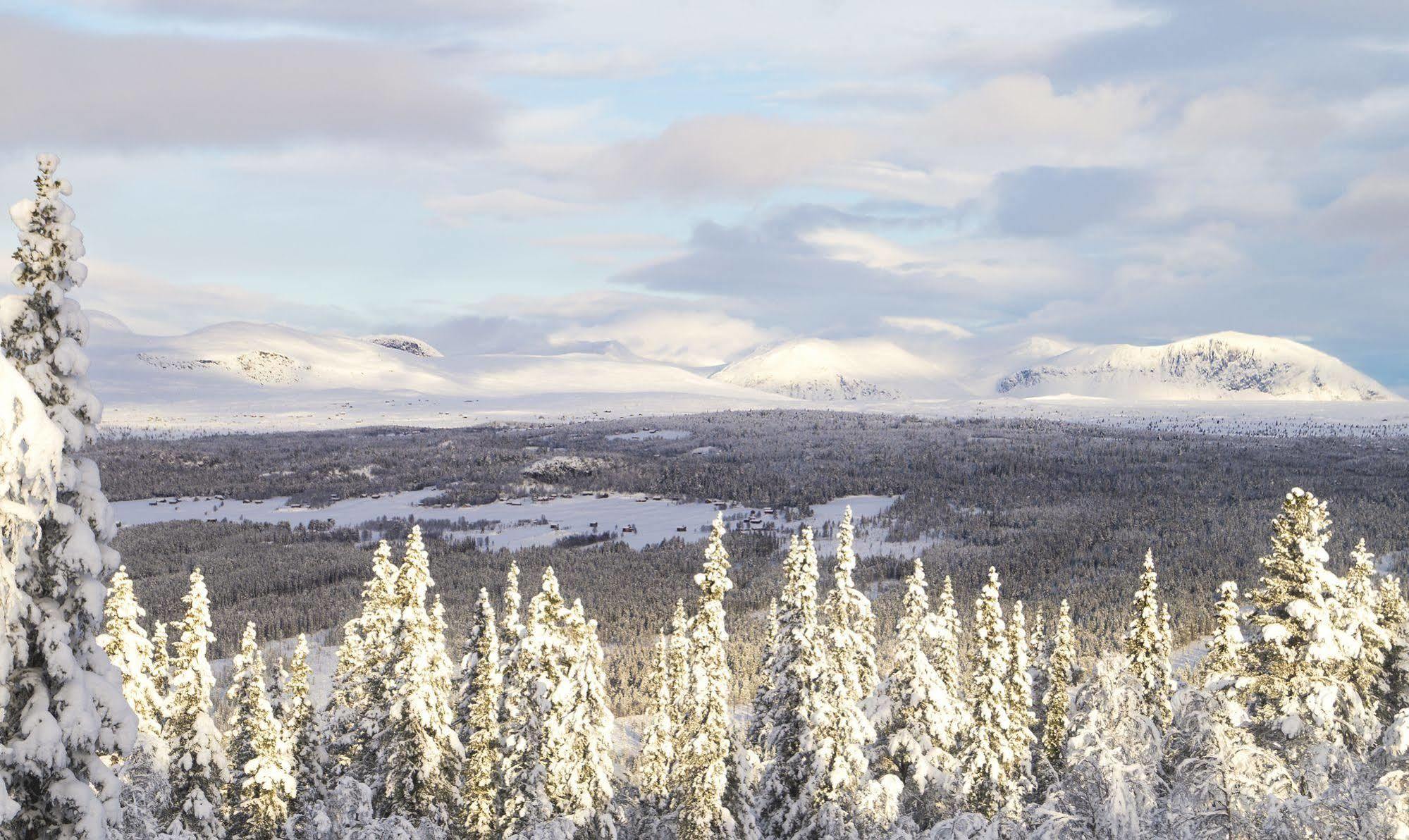 Liatoppen Fjellhotell Ål Esterno foto