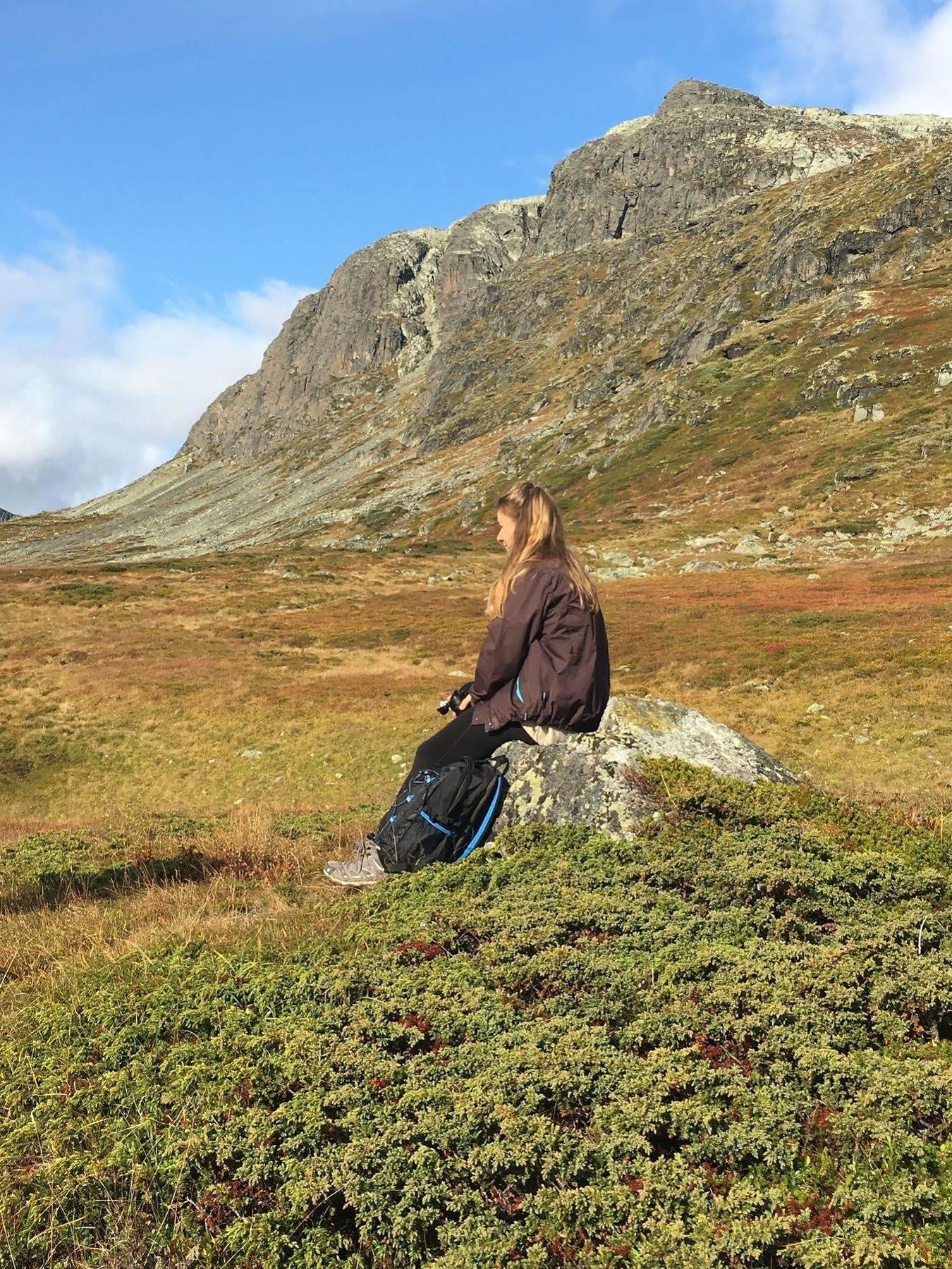 Liatoppen Fjellhotell Ål Esterno foto