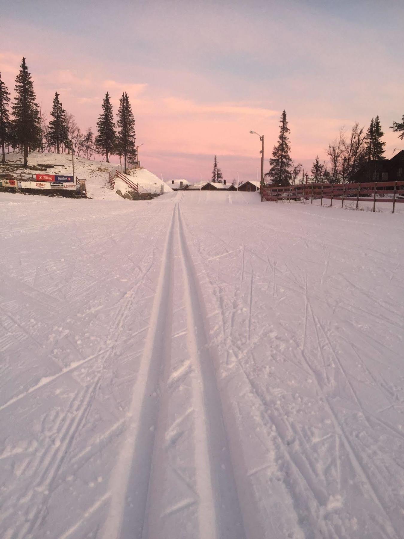 Liatoppen Fjellhotell Ål Esterno foto