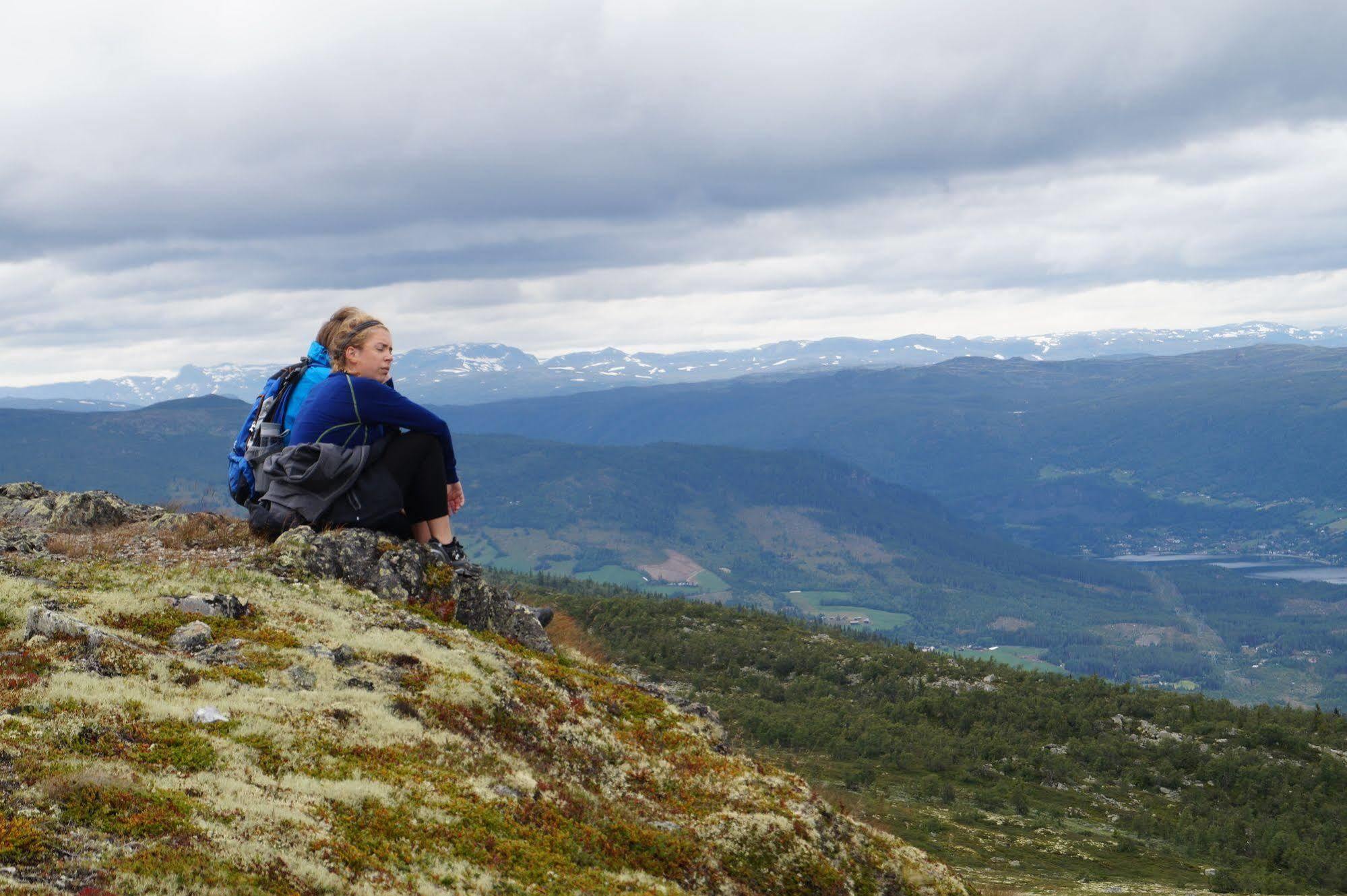 Liatoppen Fjellhotell Ål Esterno foto