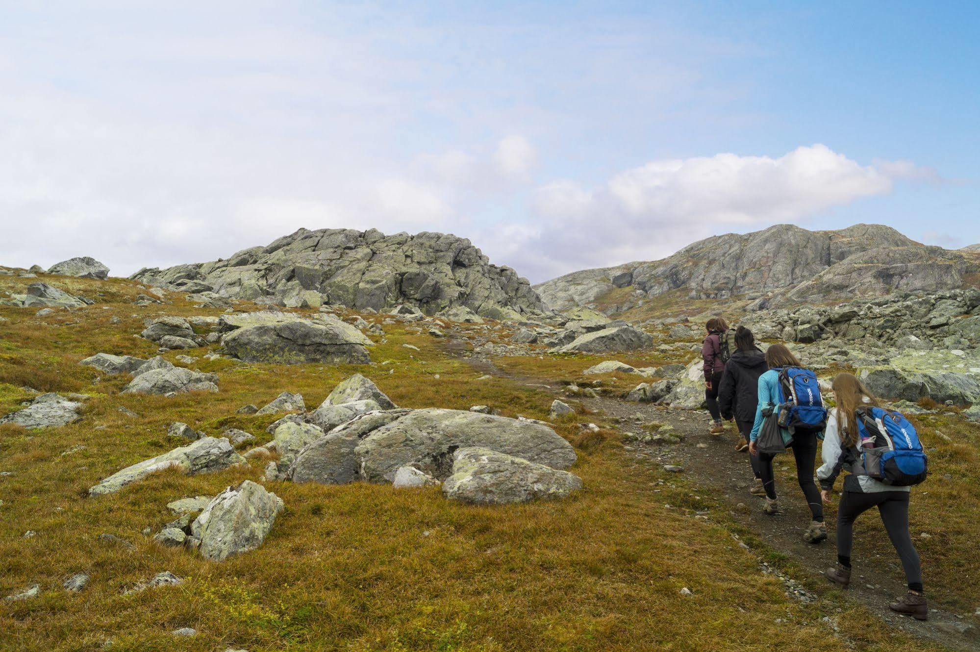 Liatoppen Fjellhotell Ål Esterno foto