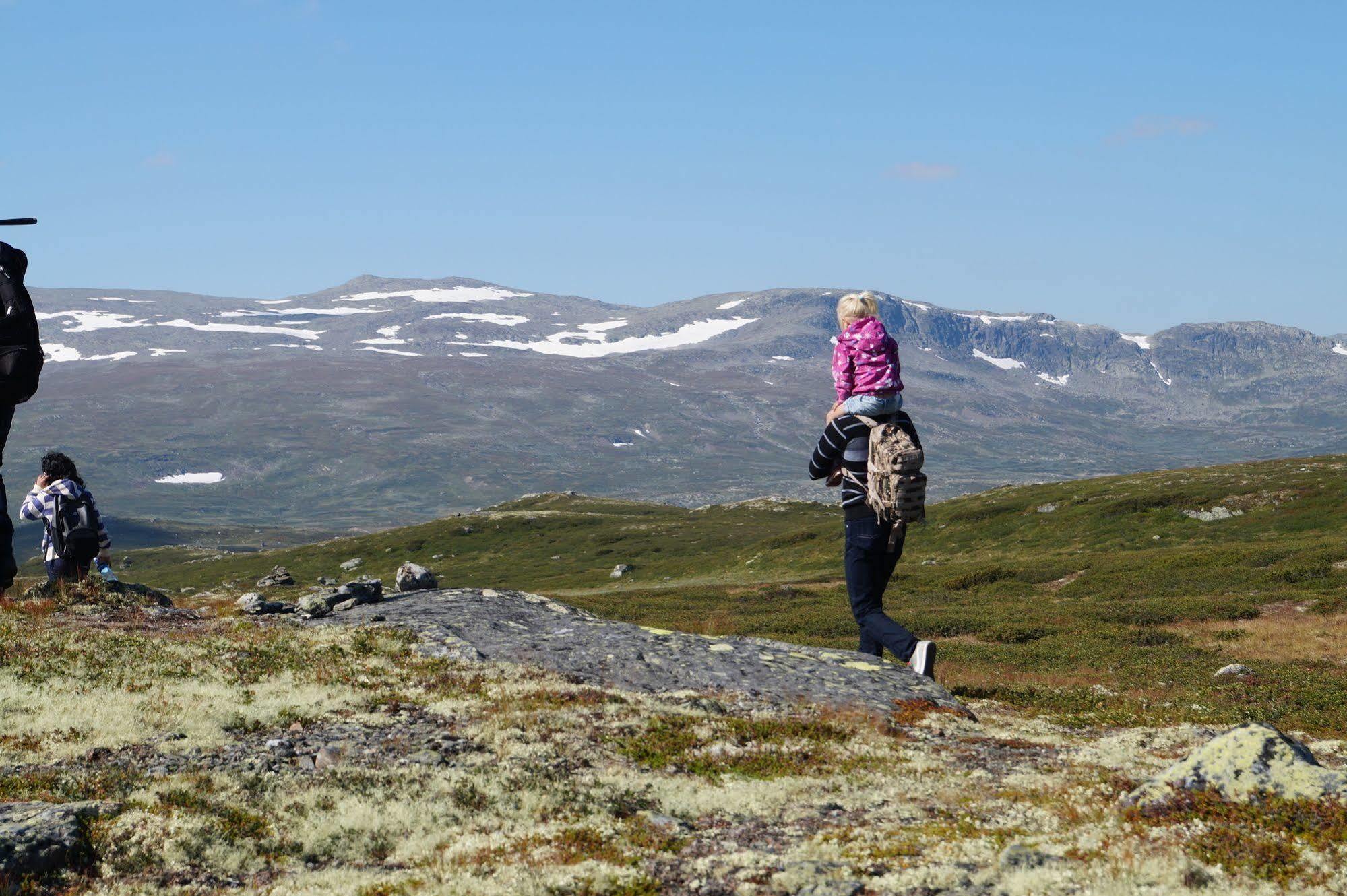 Liatoppen Fjellhotell Ål Esterno foto