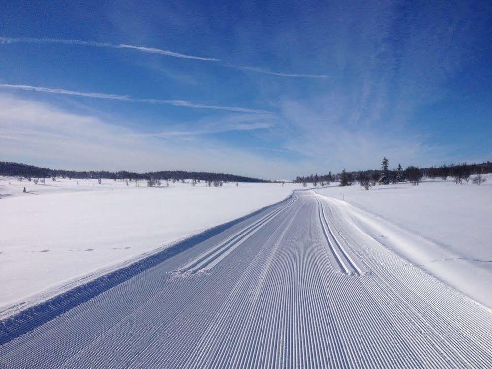 Liatoppen Fjellhotell Ål Esterno foto